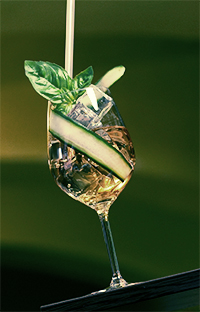Lillet - Basil Cocktail 